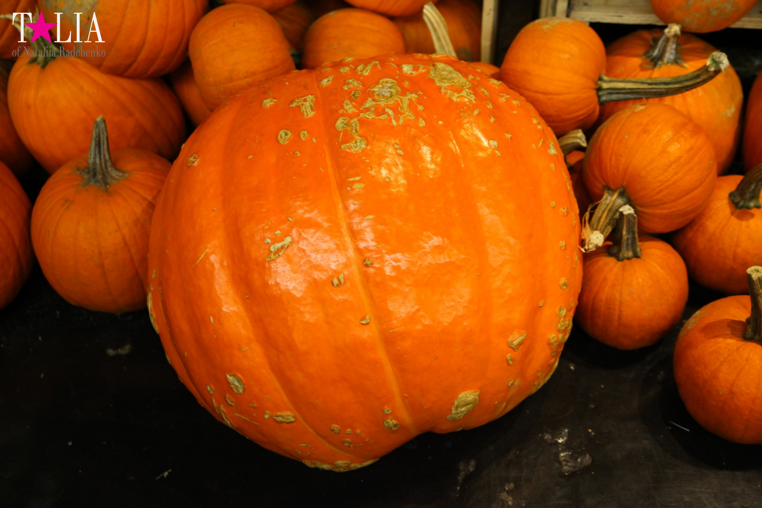 Our Thanksgiving day 2016 in Chelsea Market of New York City